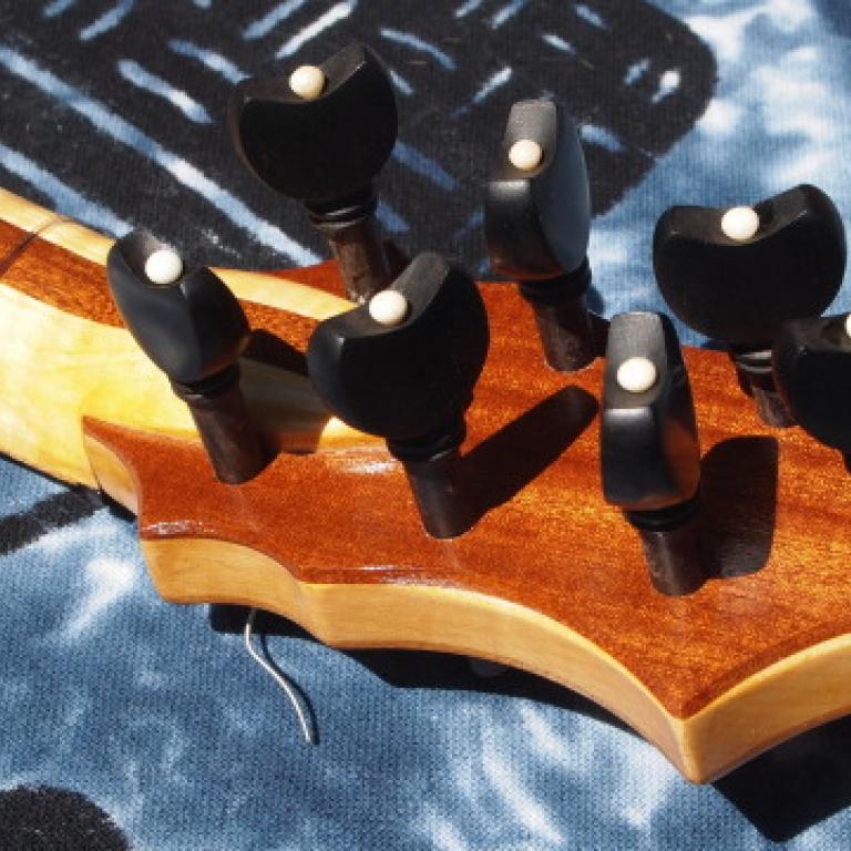 Chitarra-rinascimentale-Cardosa