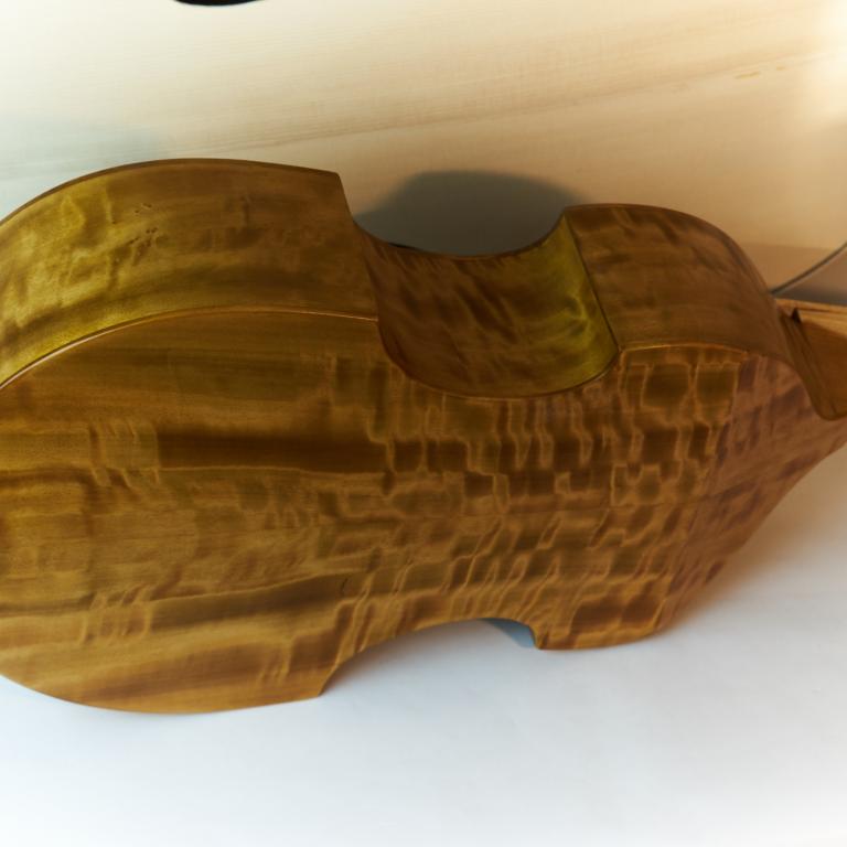 Jaye alto pioppo -back 1