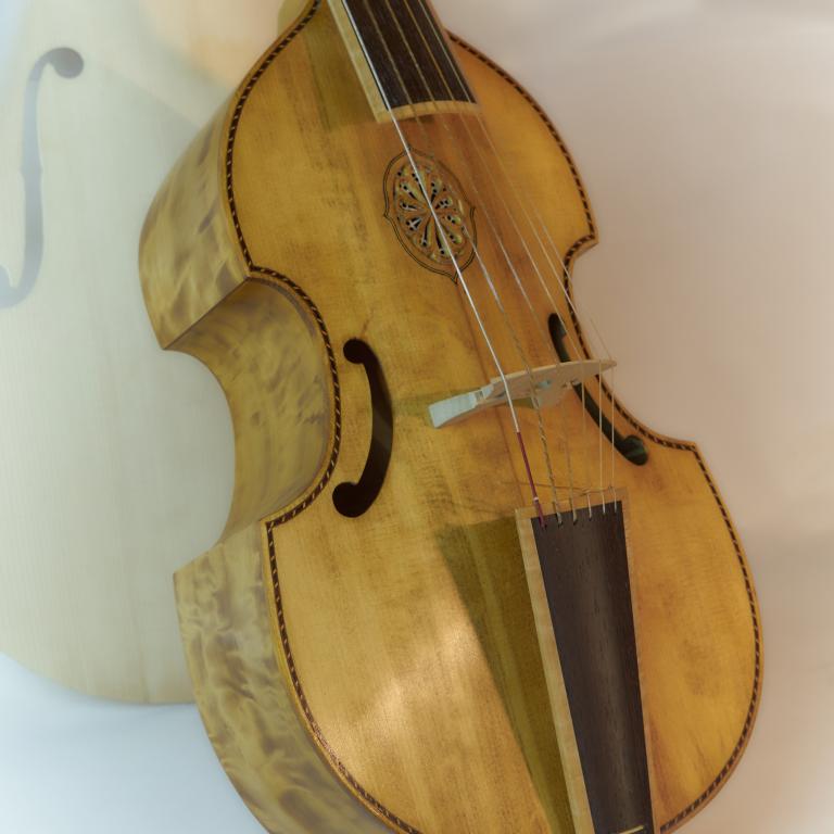 Jaye alto pioppo -body 1