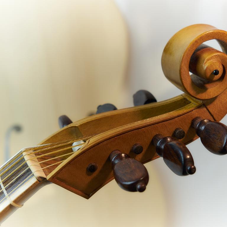 Jaye alto pioppo -riccio 1