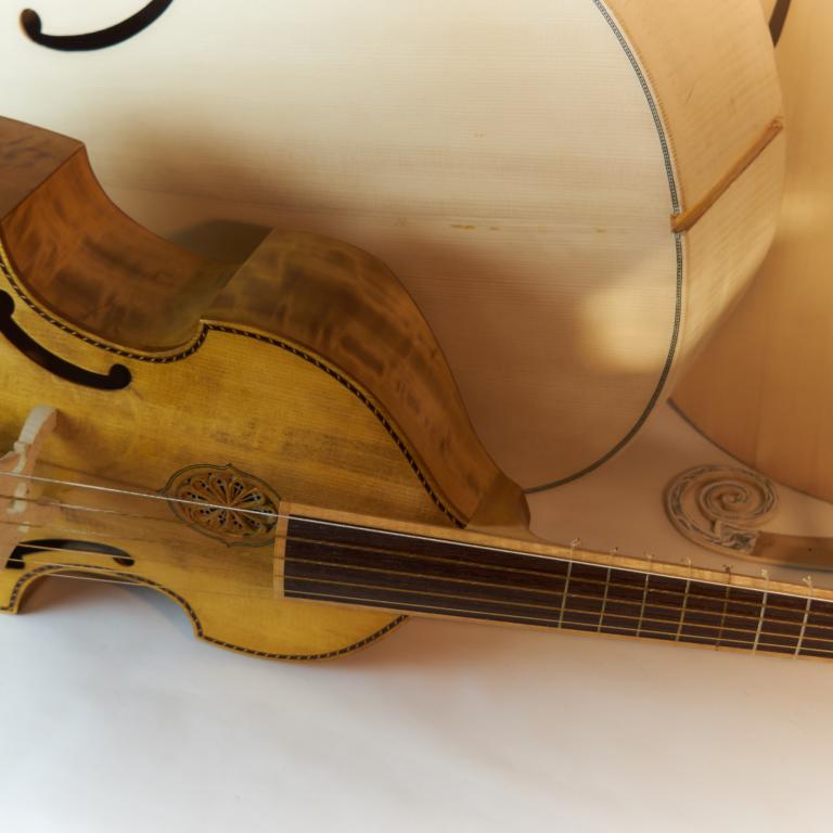 Jaye alto pioppo -tot 2