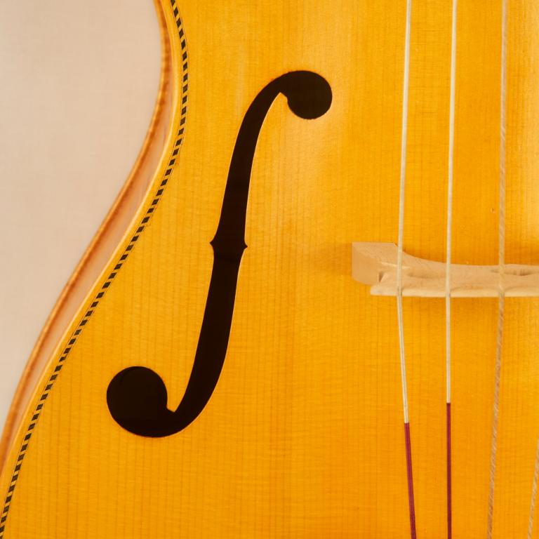 viola basso Gasparo da Salò EFFE