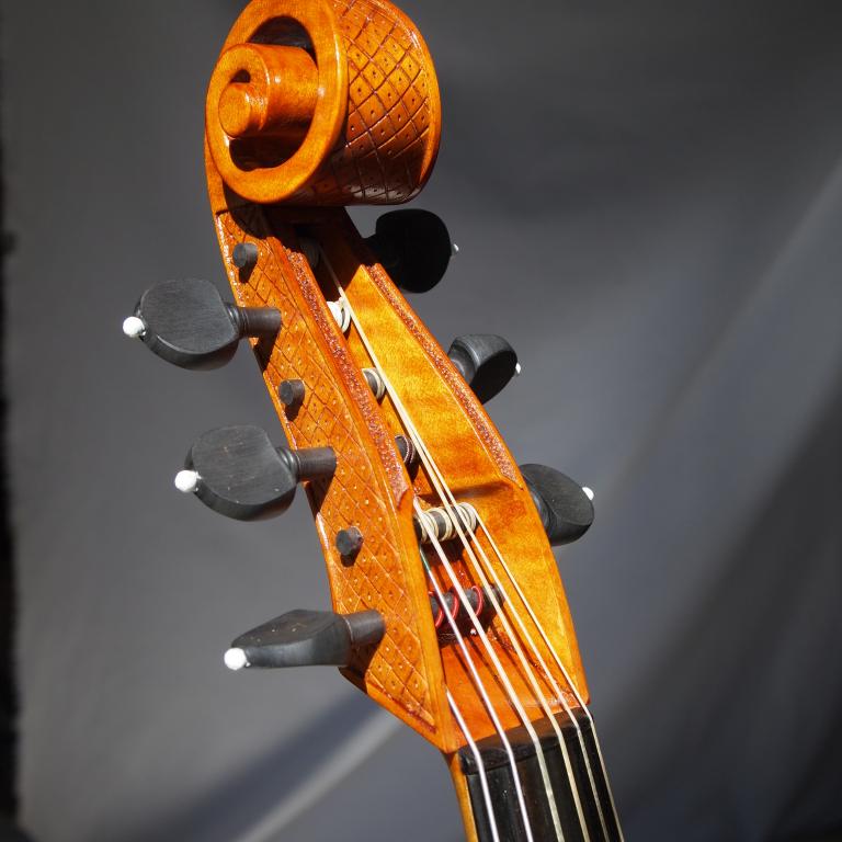 Cardosa-Stainer-riccio-riquadri