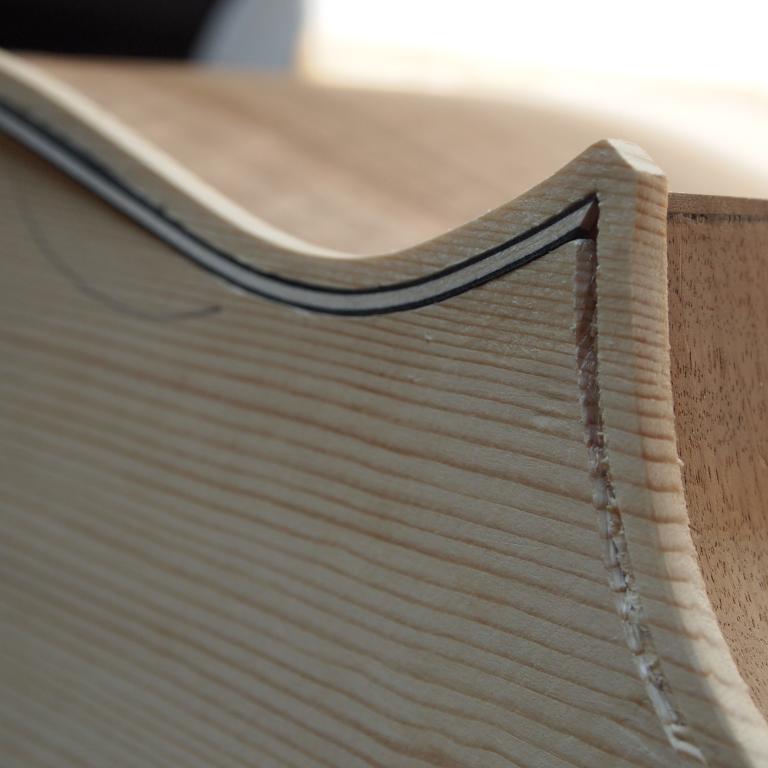 Cardosa-Violone-Maggini