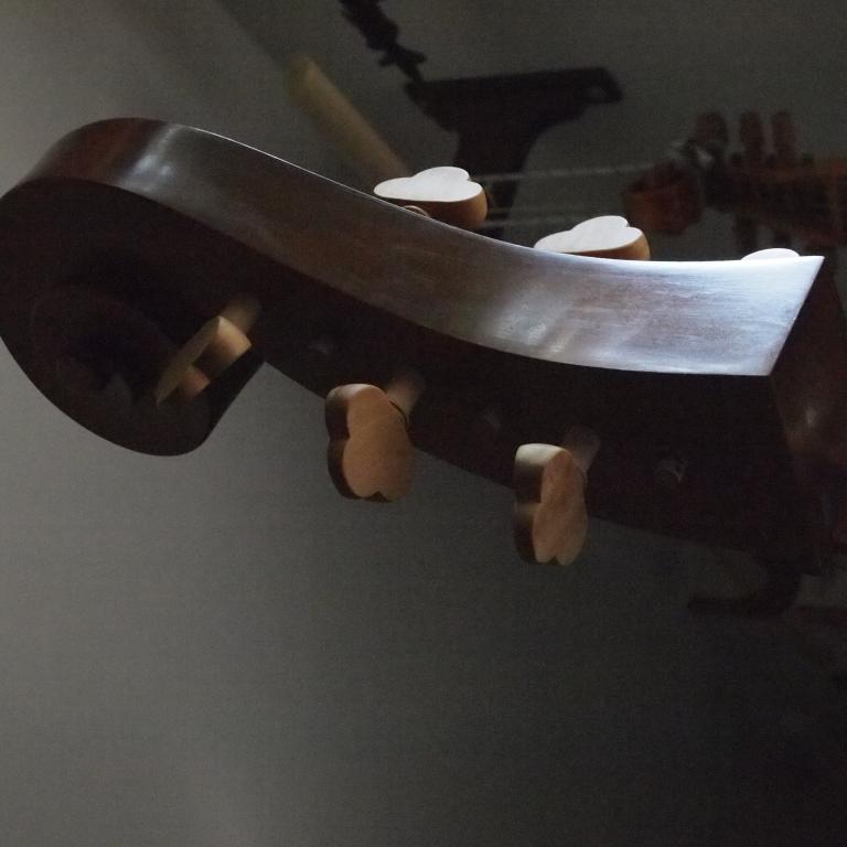 Cardosa-Violone-Maggini-riccio