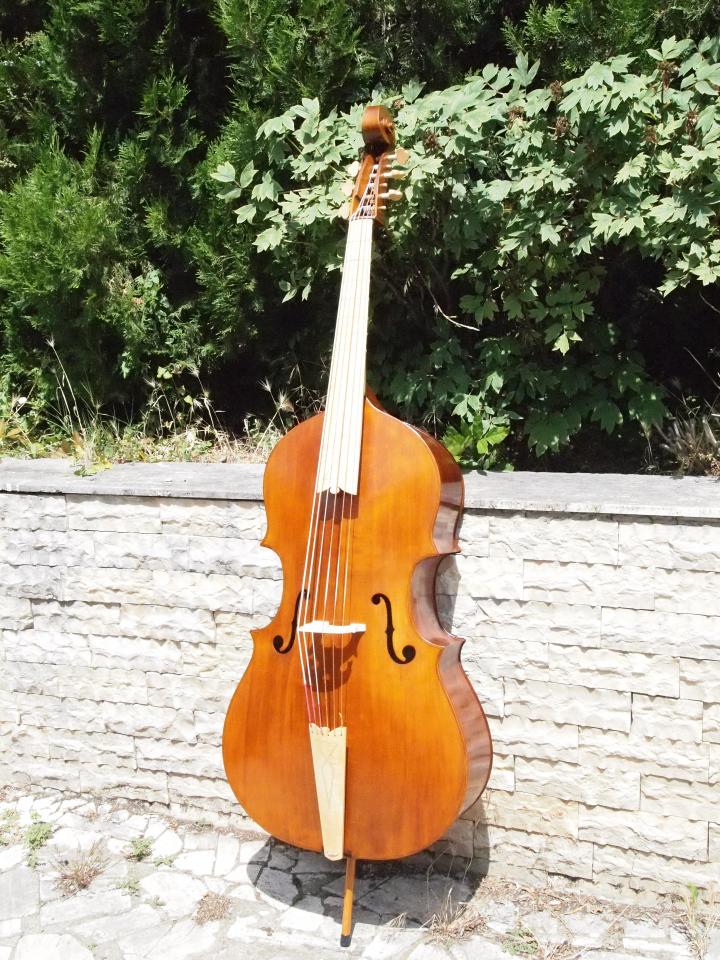 Violone-Maggini